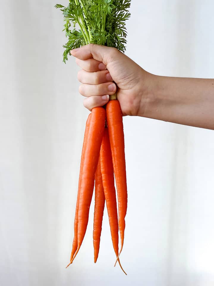 Hand holding a bunch of fresh carrots with green tops.