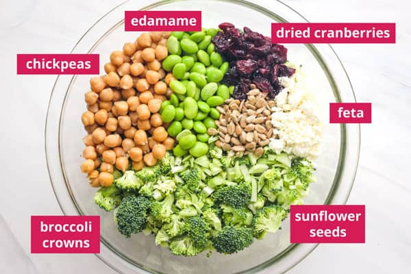 Broccoli salad ingredients arranged in a bowl and labeled.