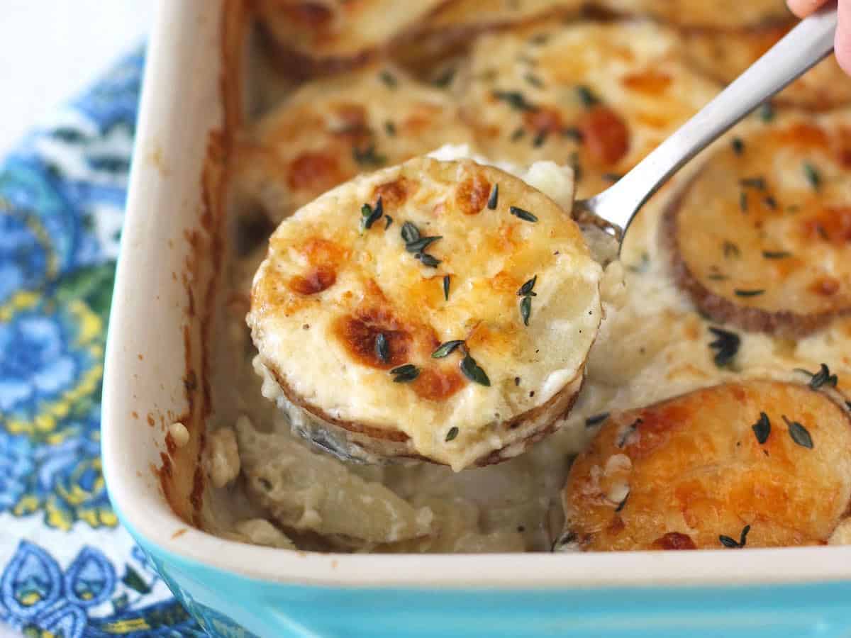 Serving spoon filled with cheesy potatoes au gratin.