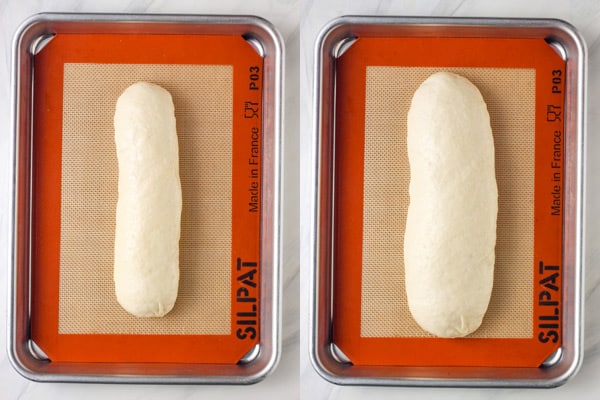 Raw loaf of dough bread on a lined pan and loaf almost doubled in size.
