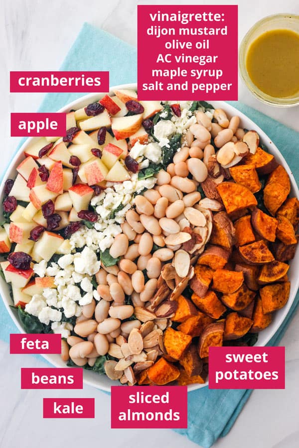 Bowl of salad with ingredients arranged in rows and labeled.